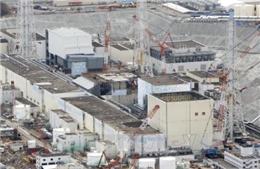 TEPCO sử dụng người máy để kiểm tra nhà máy hạt nhân Fukushima 